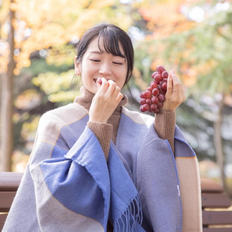 長野県の観光情報を幅広くお届けします